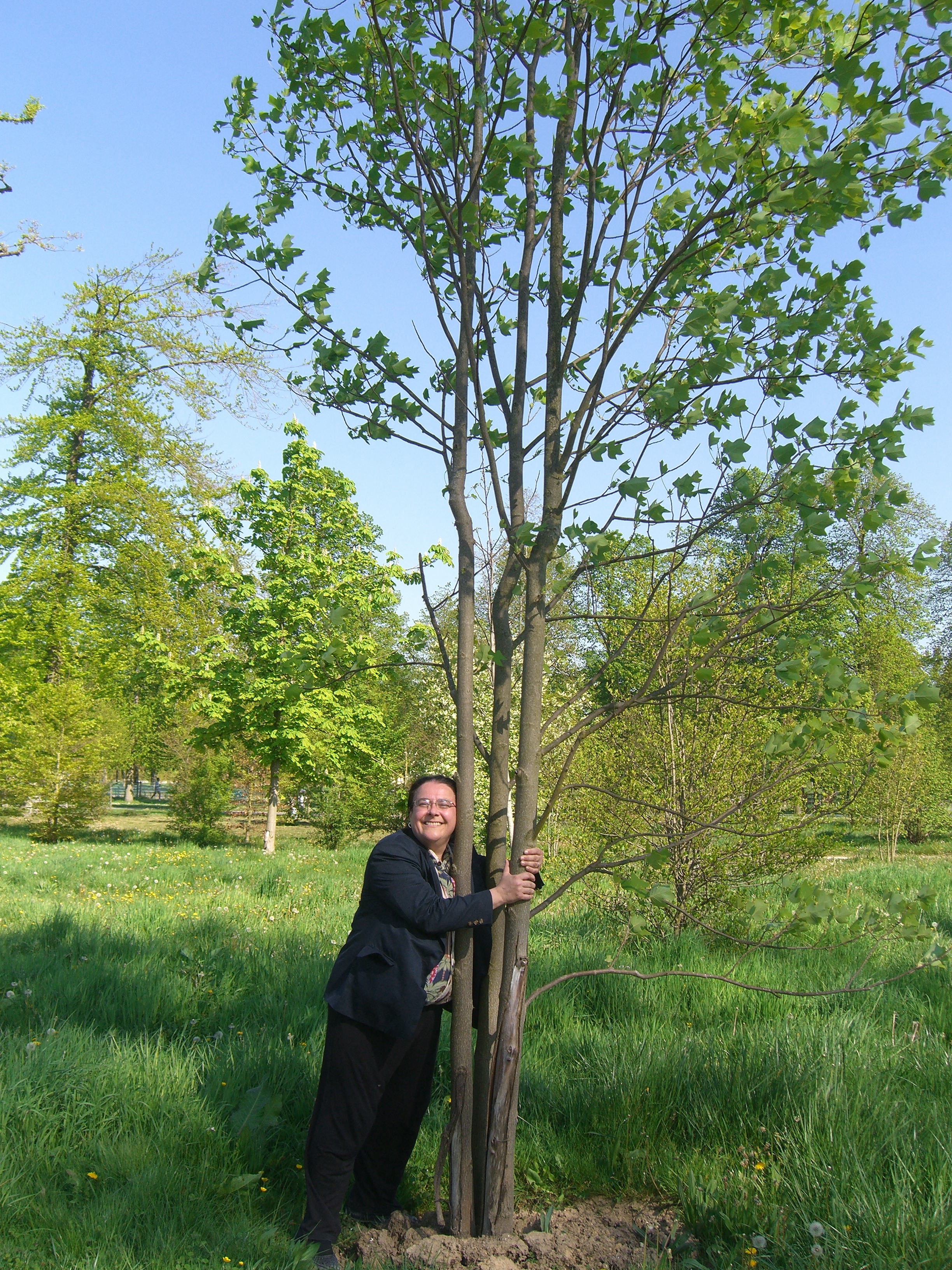 CIMG3869Susanhugtree.JPG